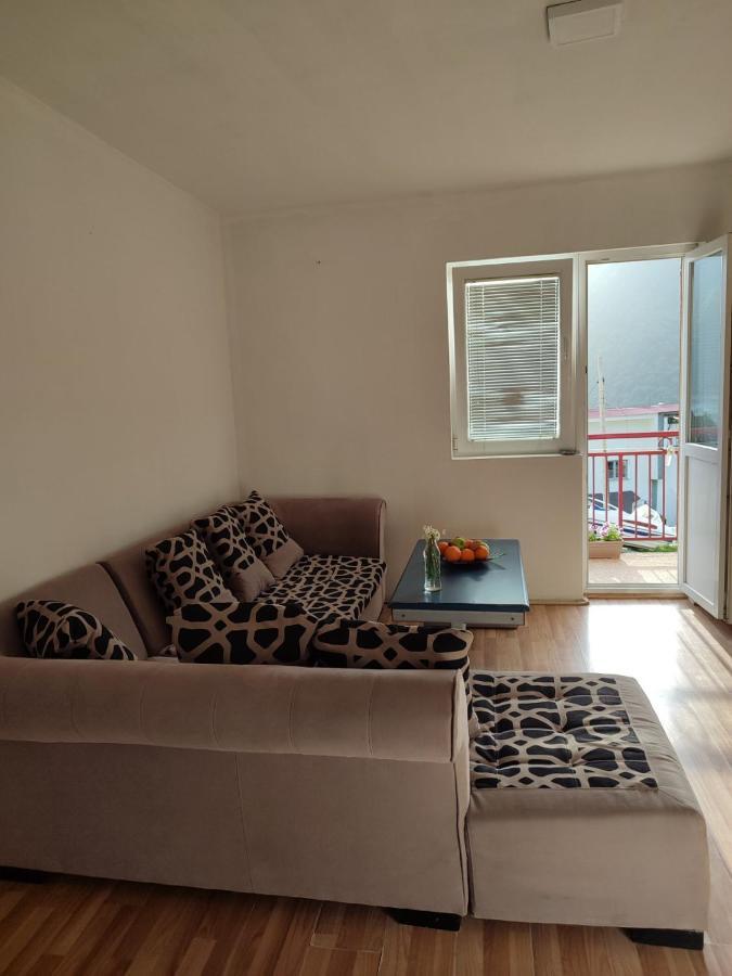 Apartment Pantovic Плужине Экстерьер фото